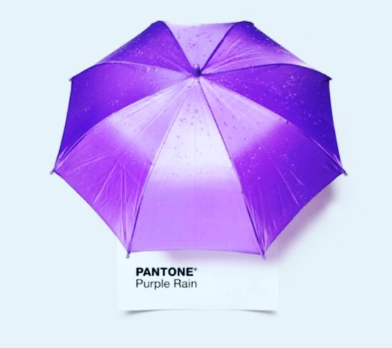 It’s time we all reach out for something new, that means you too.  @pantone this is awesome #prince