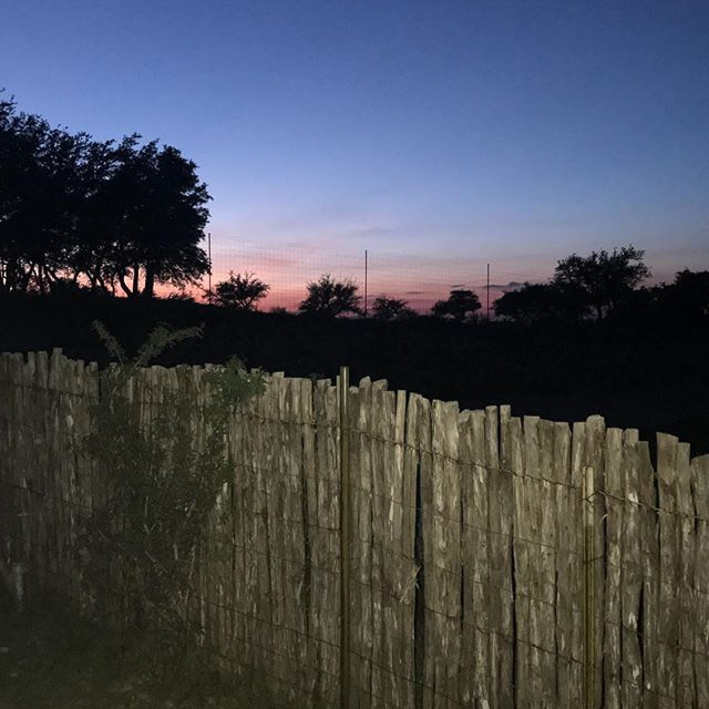 At the end of crazy days, I always try to remember to take a couple of minutes to enjoy the gorgeous #texassunset. #itsmyturn #instatakeover #cedarfence #texashillcountry #enjoythelittlethings