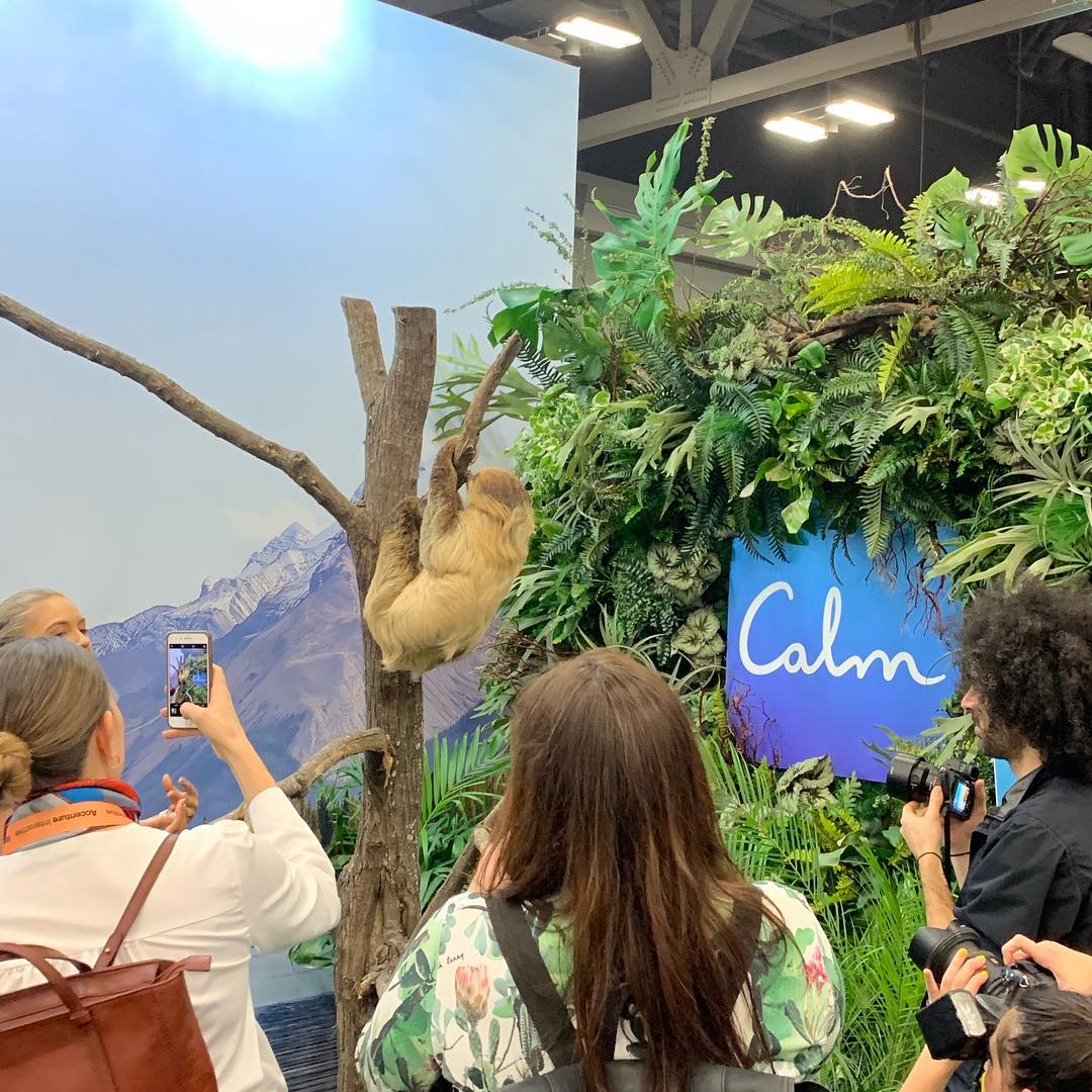 Wow @calm your booth was the talk of the show at #sxsw2019.  Forget about all the VR and robots…take me to the sloth! 🤗 #wowwednesday #tradeshows #marketing #wherestheslothemoji