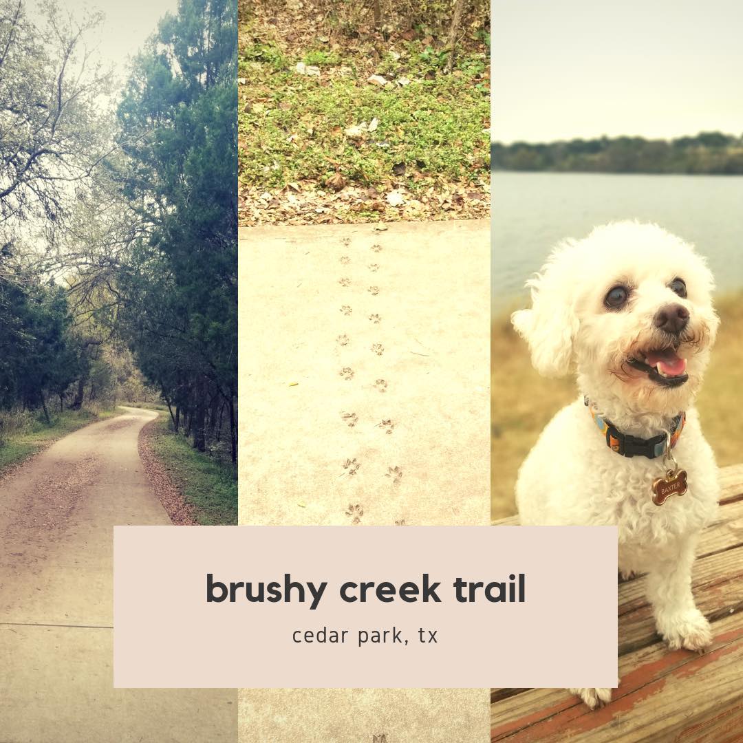 Lauren likes to hit up the outdoors with her adorable dog Baxter when some resetting is in order- Brushy Creek Trail being one of their favorites.  #Natureisawondrousthing. #WowWednesday #brushycreek #hiking #relaxing #zen #nature